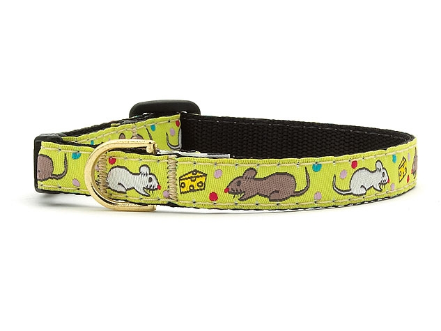 Up country 2025 cat collars